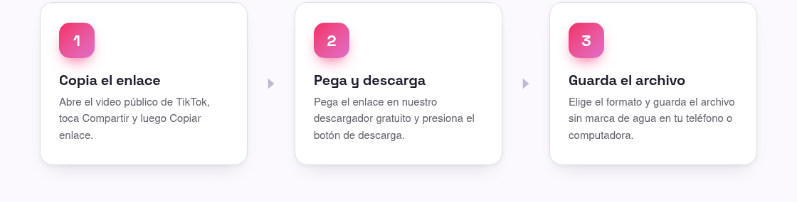 ¿Se pueden descargar videos privados de TikTok?