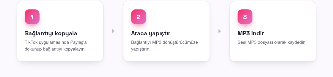 TikTok Nasıl MP3'e Dönüştürülür (Sesi Kaydet)