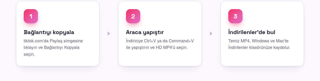 TikTok Videoları Bilgisayara Nasıl İndirilir (PC ve Mac)