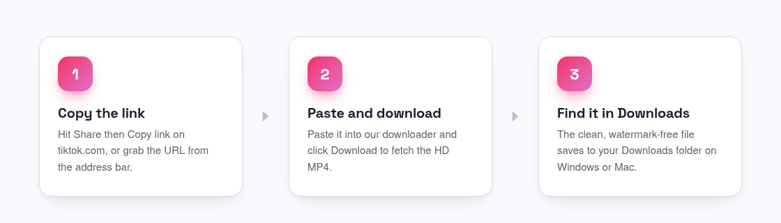 How to Download TikTok Videos on a Computer (PC & Mac)